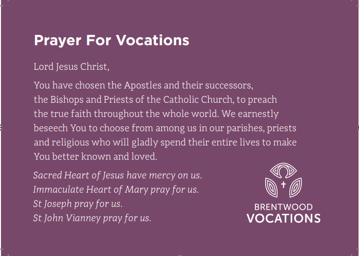 Lord Jesus Christ, You have chosen the Apostles and their successors, the Bishops and Priests of the Catholic Church, to preach the true faith throughout the whole world. We earnestly beseech You to choose from among us in our parishes, priests and religious who will gladly spend their entire lives to make You better known and loved. Sacred Heart of Jesus have mercy on us. Immaculate Heart of Mary pray for us. St Joseph pray for us. St John Vianney pray for us. 