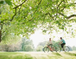 people cycling under trees