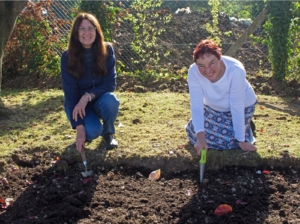 people gardening