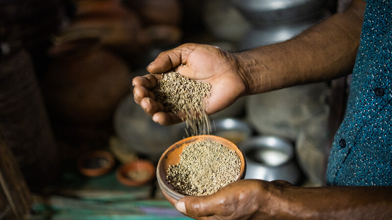 bowls of seeds