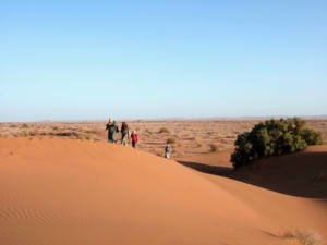 People walking on sand dunes